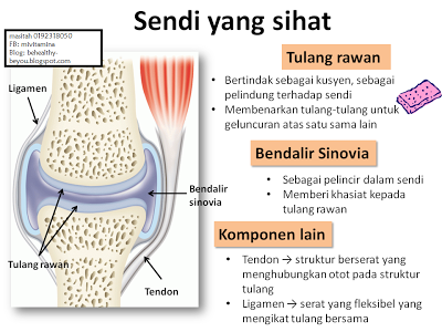 sendi-sihat