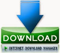 IDM Internet Download Manager 6.21 Build 14 Crack Download