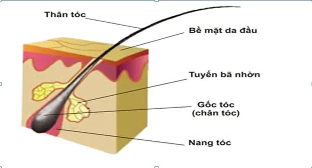 Toc xoan tu nhien co uon duoc khong