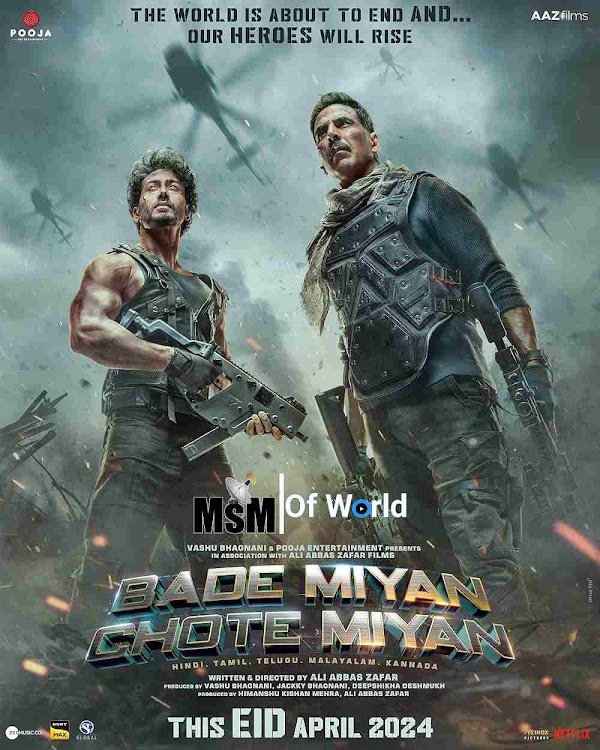 Bade Miyan Chote Miyan (2024)