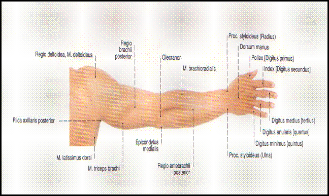 clip_image002[7]