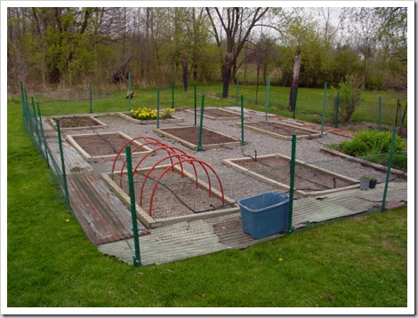 Garden Fence