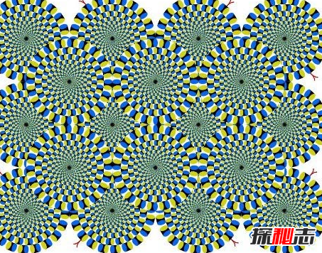 How Many Of The Ten Most Terrifying Illusion Pictures Can You Stick To?