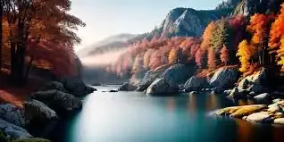 Nature's