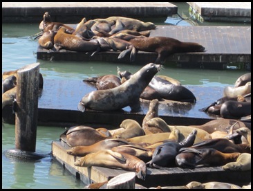 San Francisco 170