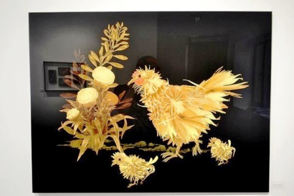 Weird X-Ray Art (3)