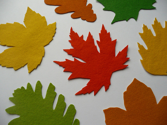 Autumn Leaves For Decoration5