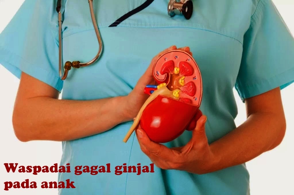 http://obatherbaluntukanakaman.blogspot.com/2015/02/obat-herbal-gagal-ginjal-pada-anak.html