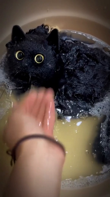 Cute black cat live wallpaper