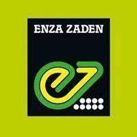 Job Opportunity at Enza Zaden Africa Ltd: Logistics and Procurement Manager