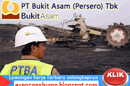 Lowongan Kerja PT Bukit Asam (Persero) Tbk - D3 / S1 Trainee Program - Maret 2016