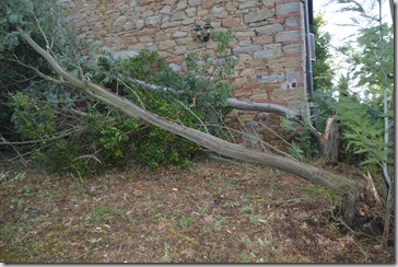 Toscane 2013-305 (3)