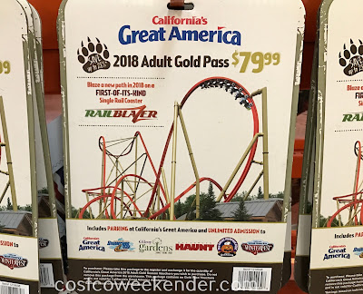 Enjoy roller coasters and other thrill rides this summer at Great America