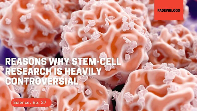 Stem Cell research