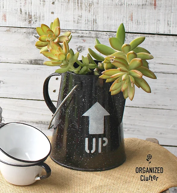 Upcycled Vintage Coffee Pot and Enamelware Decor Ideas #upcycle #coffeepots #enamelware #graniteware #vintage #stencil #oldsignstencils #imagetransfers #containergarden #holidaydecorating