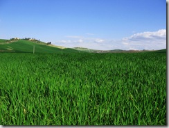 Bliss Tuscany