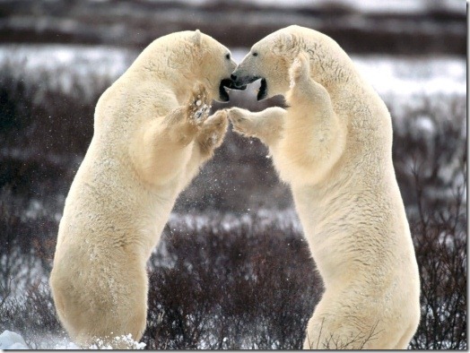 Churchill, Manitoba