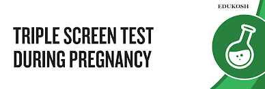 Triple Marker Test In Pregnancy