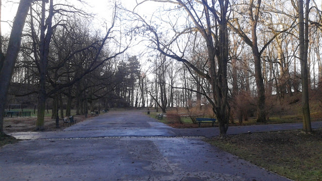 Park Bednarskiego.