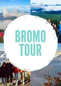 Bromo Tour