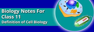 Discovery of Cell - Class 11 Biology