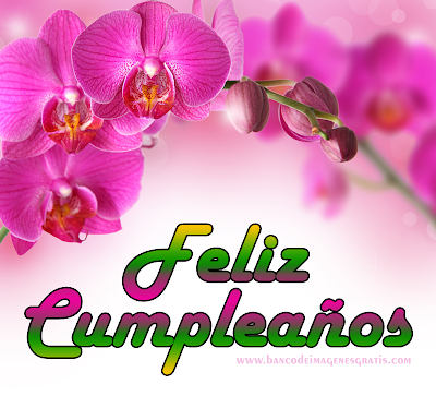 Feliz Cumpleaños