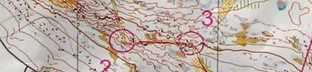 Elitserien длинная дистанция 1-я петля