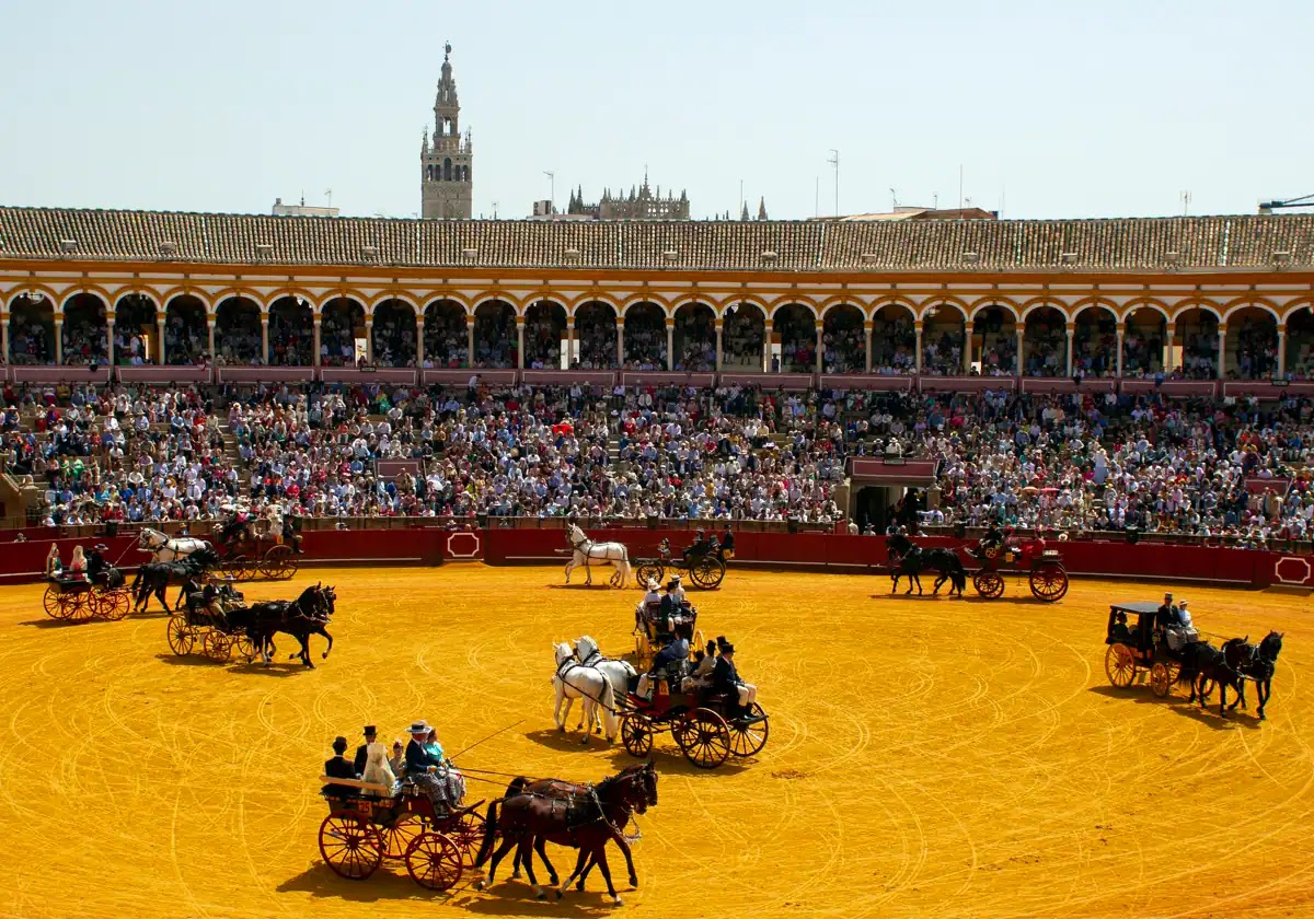 El toro impone su ley