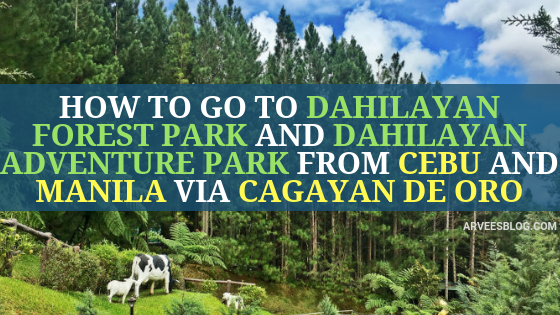 How to go to Dahilayan Forest Park and Dahilayan Adventure Park from Cebu and Manila via Cagayan de Oro City