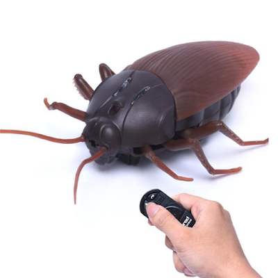 rebot Cockroach remote