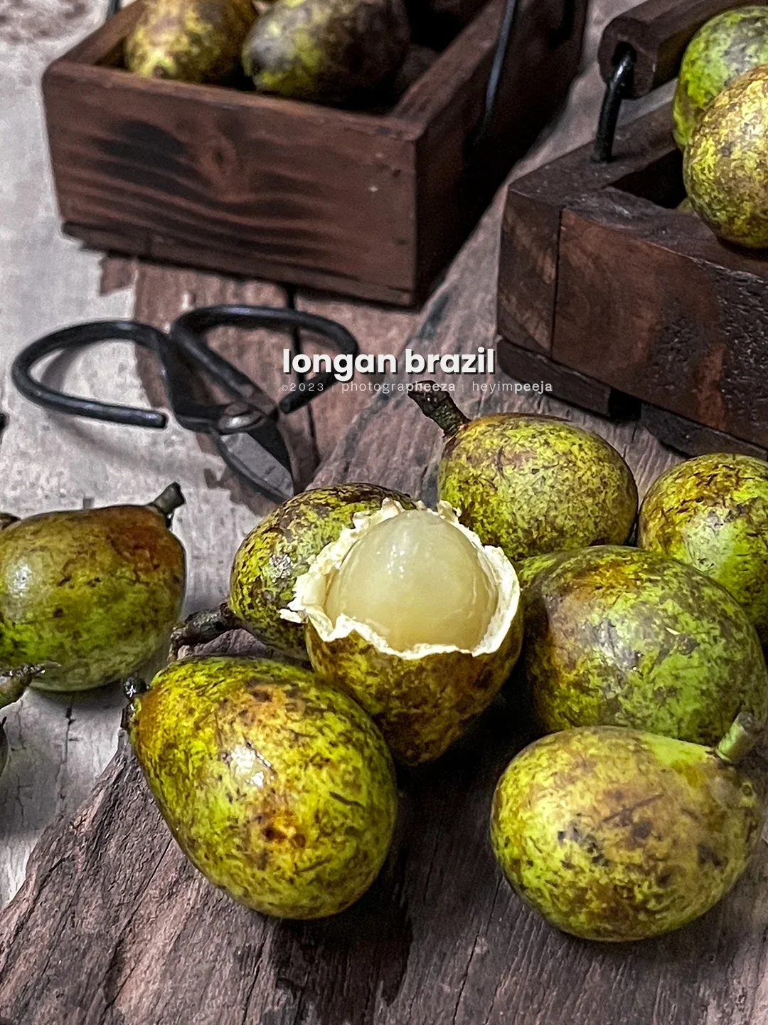 Longan Brazil Yang Unik Mempunyai 3 Rasa