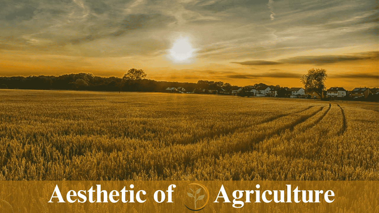 what is agriculture?