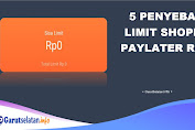 5 Penyebab Limit Shopee Paylater Rp 0