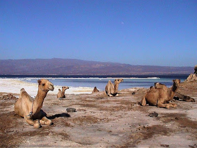 Lago Assal, Yibuti