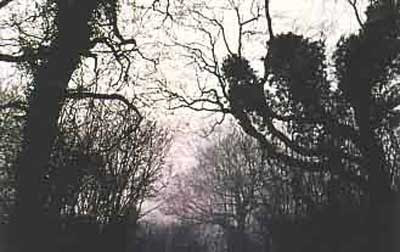 Misteri Clapham Wood