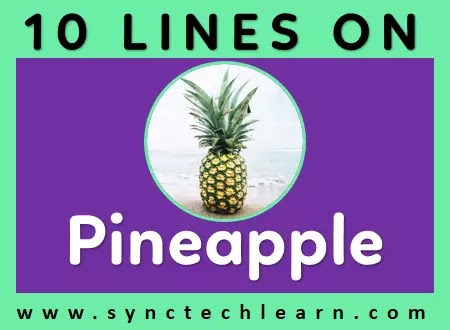 10 lines on pineapple in english