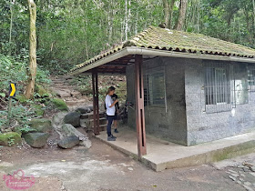 Trilhas fáceis no Rio de Janeiro