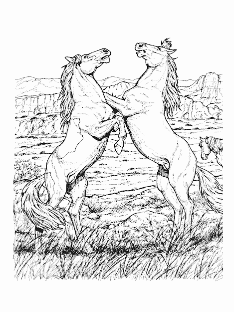 Horse Coloring Pages For Adults