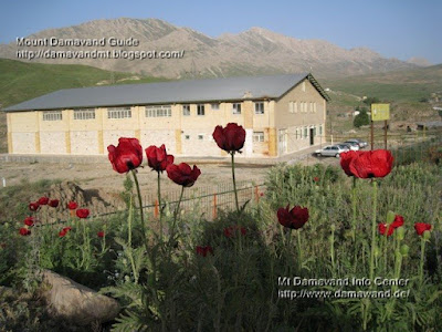 Damavand Camp One