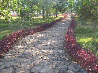 Suasana rindang salib putih