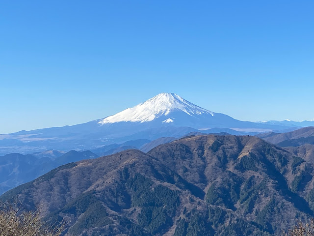 Fuji again on Jan. 1