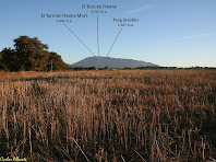 El Montseny des de la zona de Bellavista. Autor: Carlos Albacete