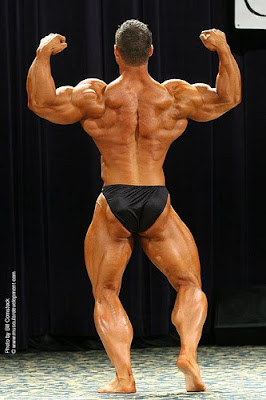 america bodybuilders photos