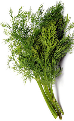 dill