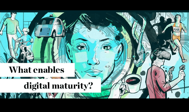 What Enables Digital Maturity?