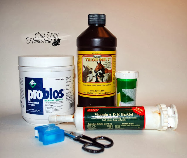 A collection of items for goats: Probio Powder, a bottle of Iodine, dental floss, small scissors. a tube of Vitamin A, D, E and B12 gel, and a pill bottle containing a bit of iodine.