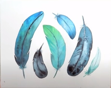 Feather Drawing