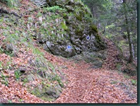 DSCN2870