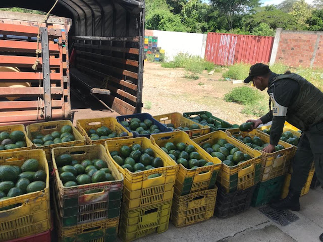 EN LA TROCHA 51 , LA POLICÍA FISCAL Y ADUANERA INCAUTA UNA TONELADA DE AGUACATES
