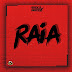 Dj EddyBeatz - RAIA (Beat)Download mp3 [2020] 